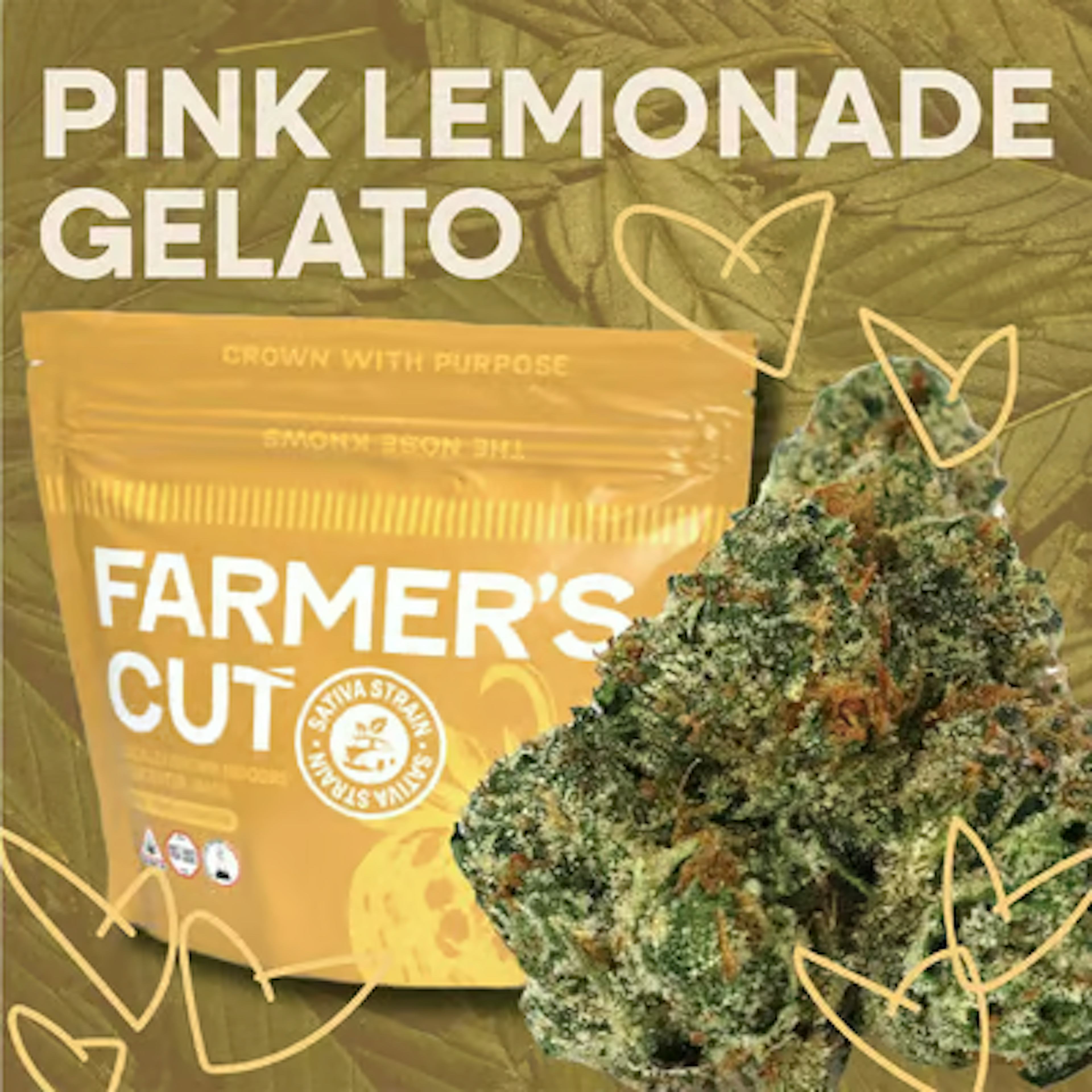 Pink Lemonade Gelato (S) | Farmer's Cut | 3.5g Flower