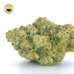 Mint Sherbert () | Fernway | 3.5g Flower - 3.5g image (11/12)