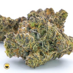 White Truffle () | Fernway | 3.5g Flower - 3.5g image (8/13)