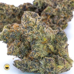 White Truffle () | Fernway | 3.5g Flower - 3.5g image (2/13)