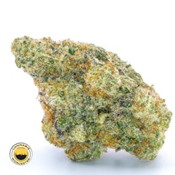 Miracle Alien Cookies 31 () | Fernway | 3.5g Flower - 3.5g image (6/16)