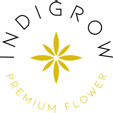 Guava Ice (S) | Indigrow | 3.5g Flower