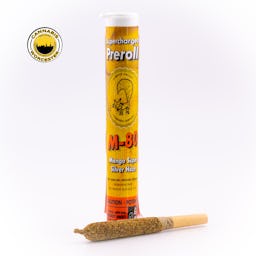 Mango SSH () | Pioneer Valley | 1.0g Infused Pre Roll - 100mg image (1/5)