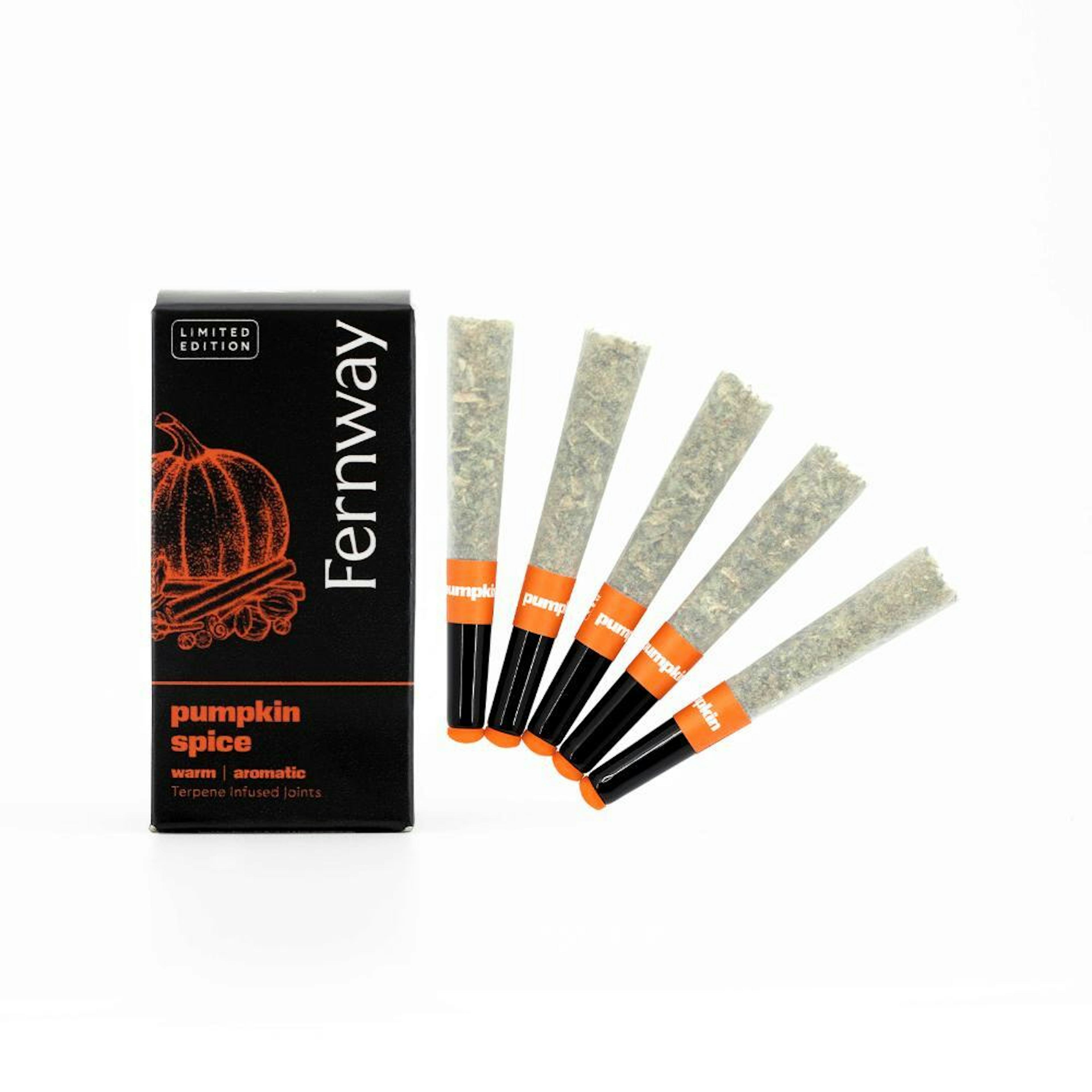 Pumpkin Spice (H) | Fernway | 0.5g 5pk Pre Rolls