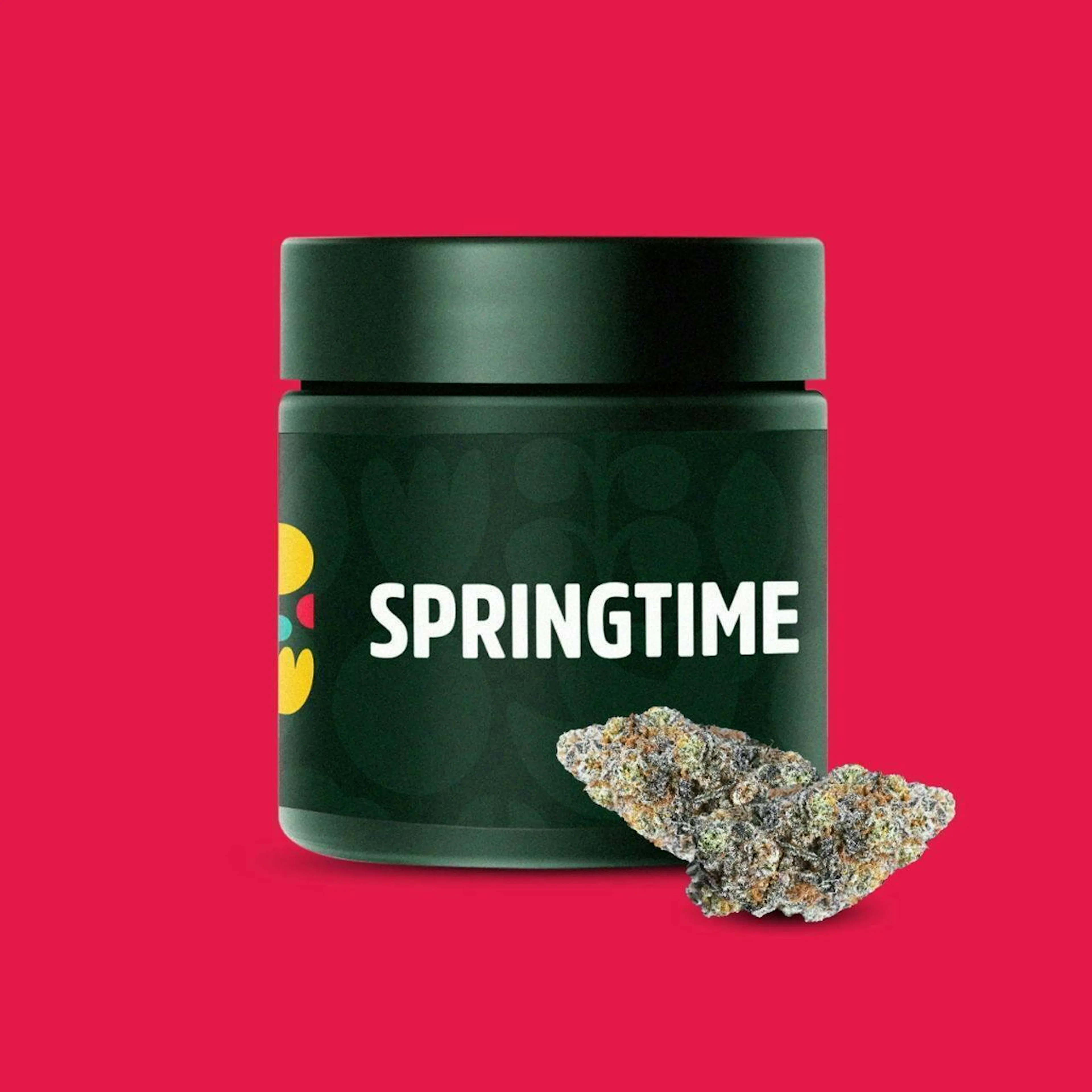 Curacao (H) | Springtime | 3.5g Flower