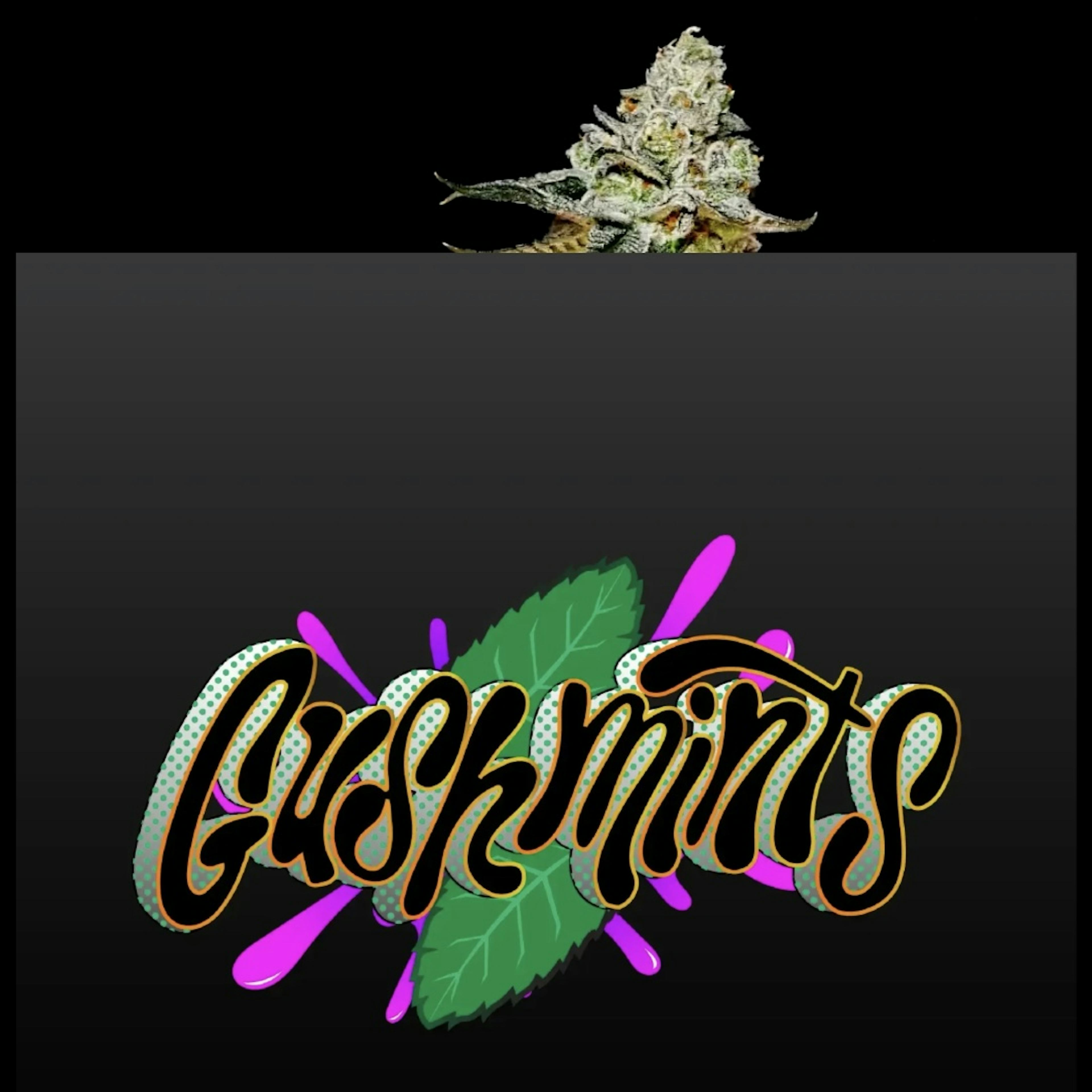 Gush Mints | Nimbus | 0.5g 3 Pack Darts -