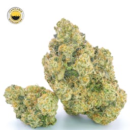 Mint Sherbert () | Fernway | 3.5g Flower - 3.5g image (4/12)