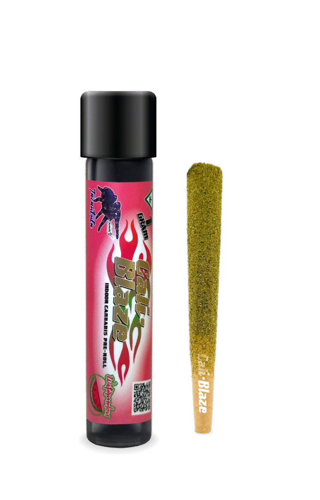 Watermelon (S) | Cali-Blaze Tarantula | 1g Infused Pre-Roll